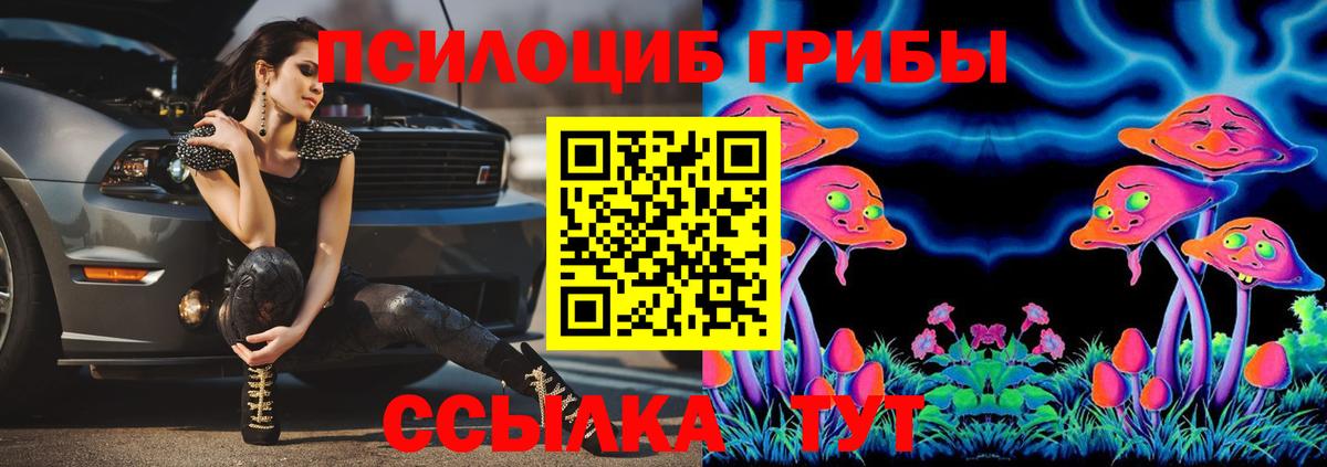 Псилоцибиновые грибы Magic Shrooms Нижний Новгород