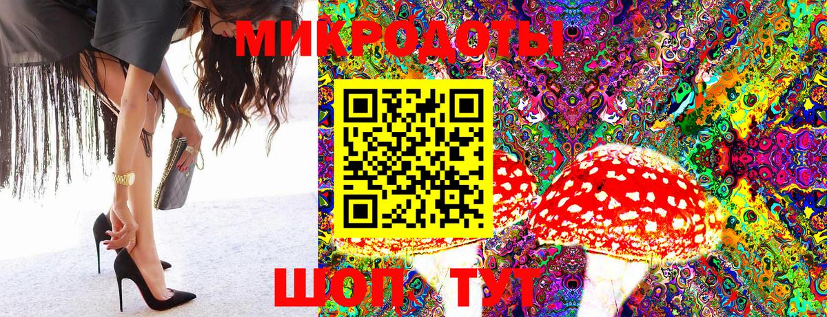 наркотики  Вход с VPN  Галлюциногенные грибы MAGIC MUSHROOMS  Нижний Новгород  Галлюциногенные грибы Psilocybe 